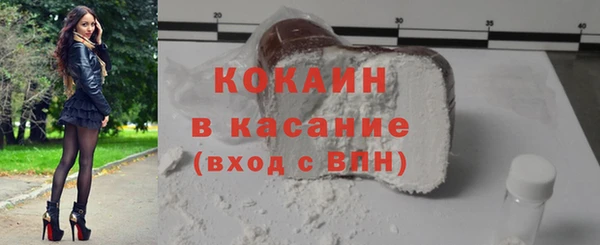 крисы Каменка