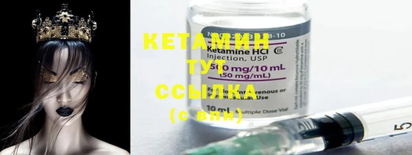 крисы Каменка