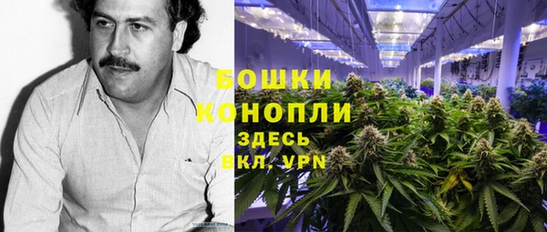 бошки Гусев