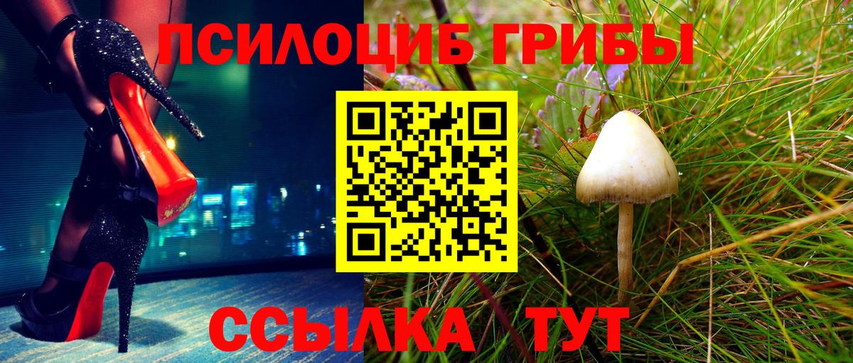 Муравленко  Галлюциногенные грибы MAGIC MUSHROOMS  Вход с VPN 